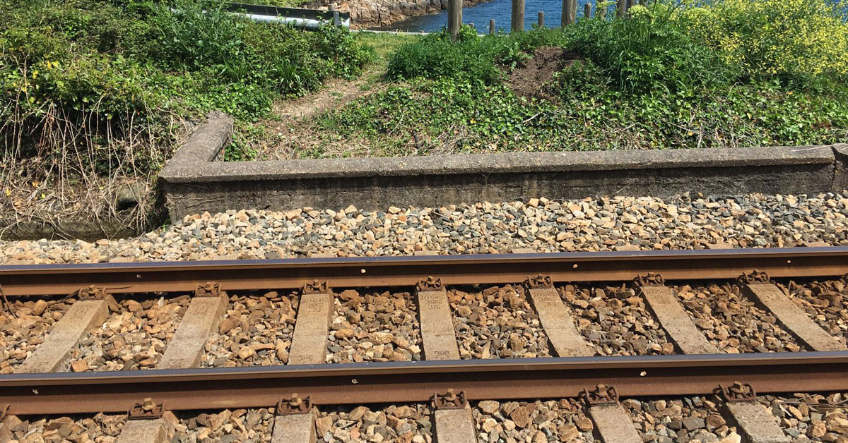 cervo-via-tren-ruta-xunco