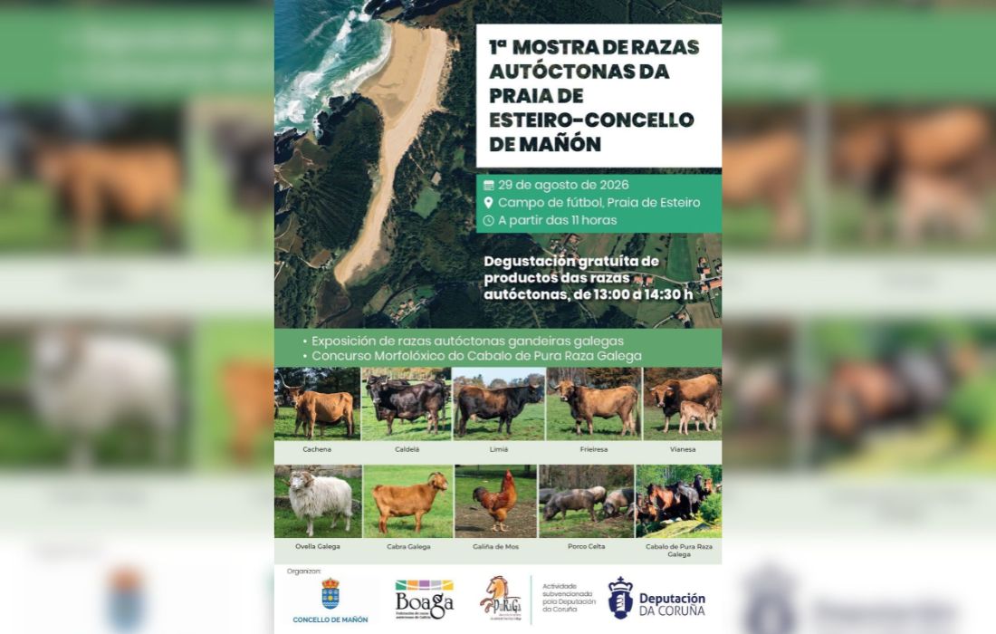 MAÑON mostra animais