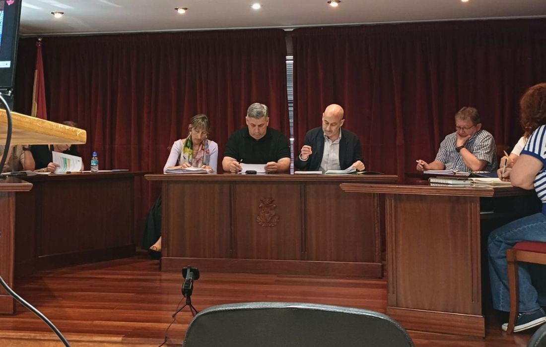 NEDA pleno