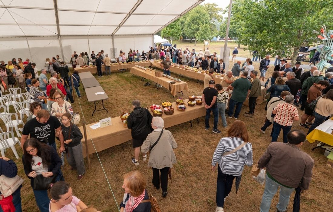 SAN SADURNIÑO feira rural