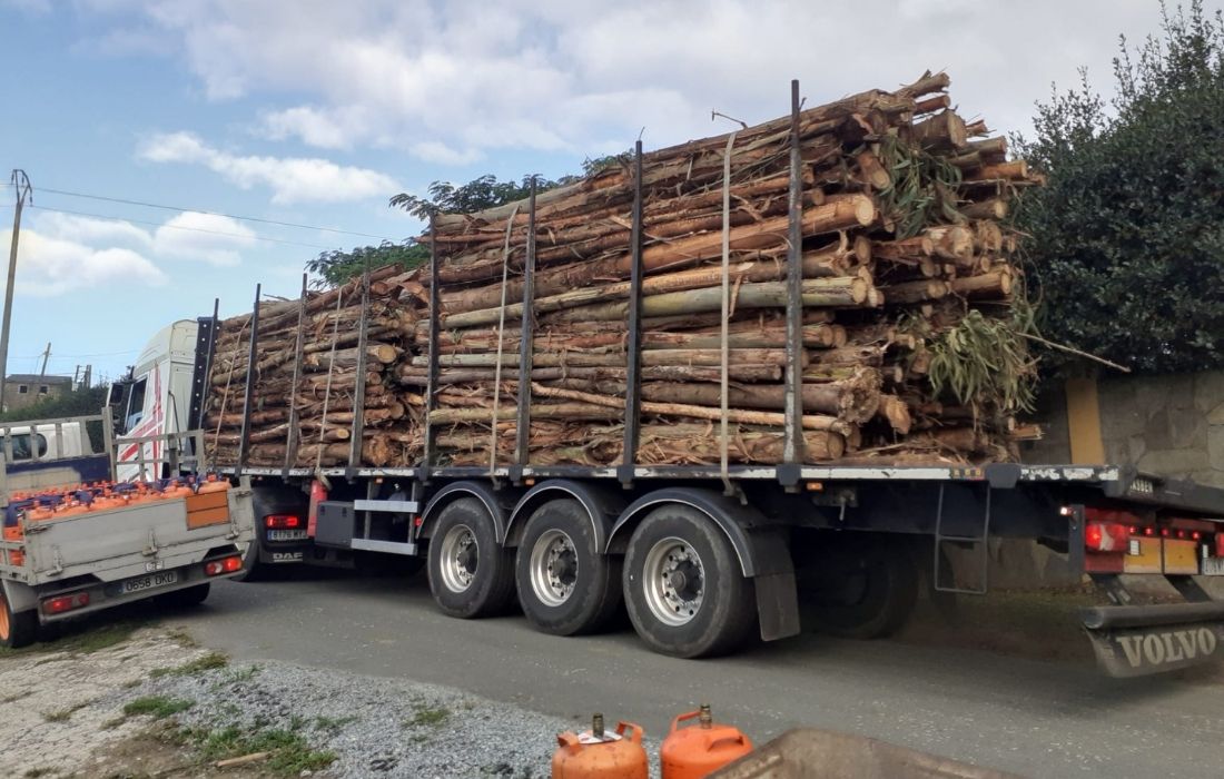 FERROL camion madeira