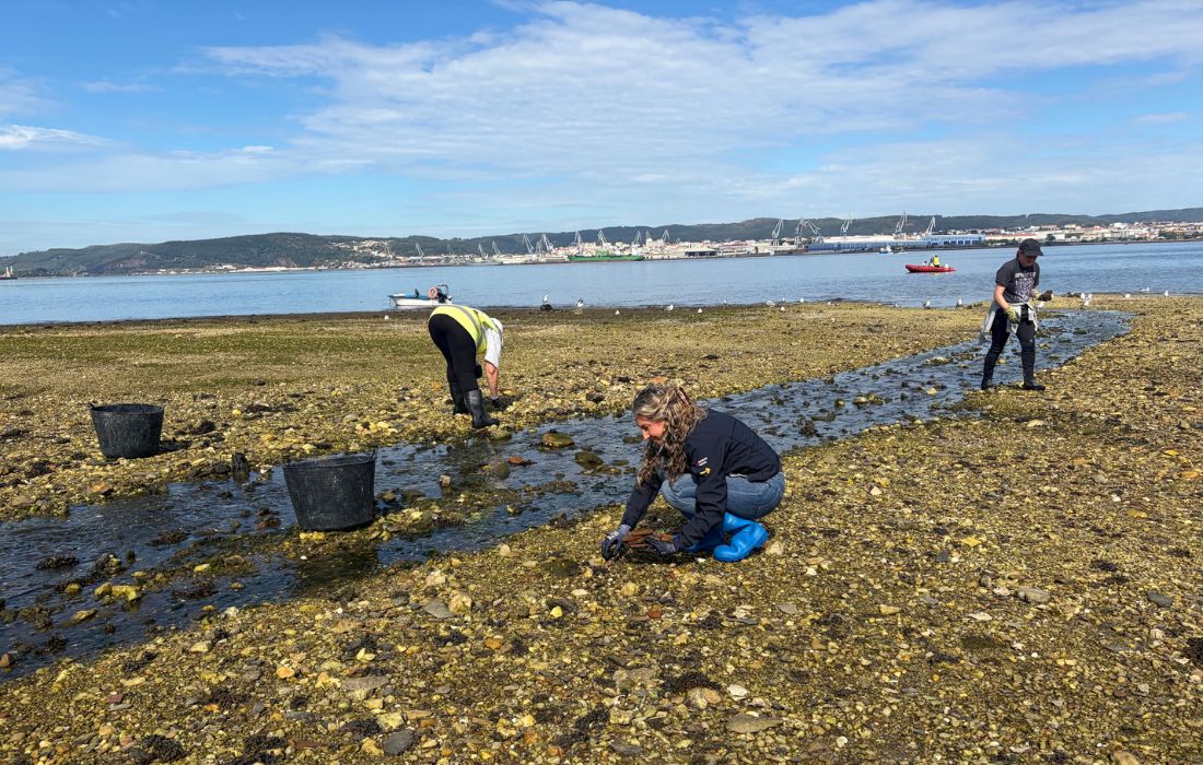 FERROL limpeza barallobre