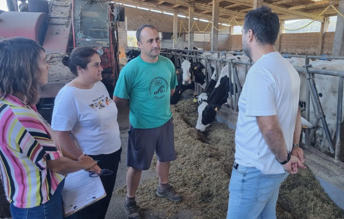 ORTIGUEIRA gandeiria vilarmor