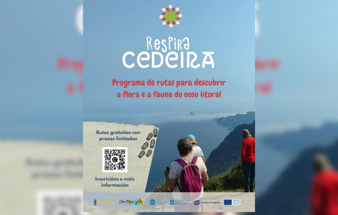 CEDEIRA respira cedeira rutas