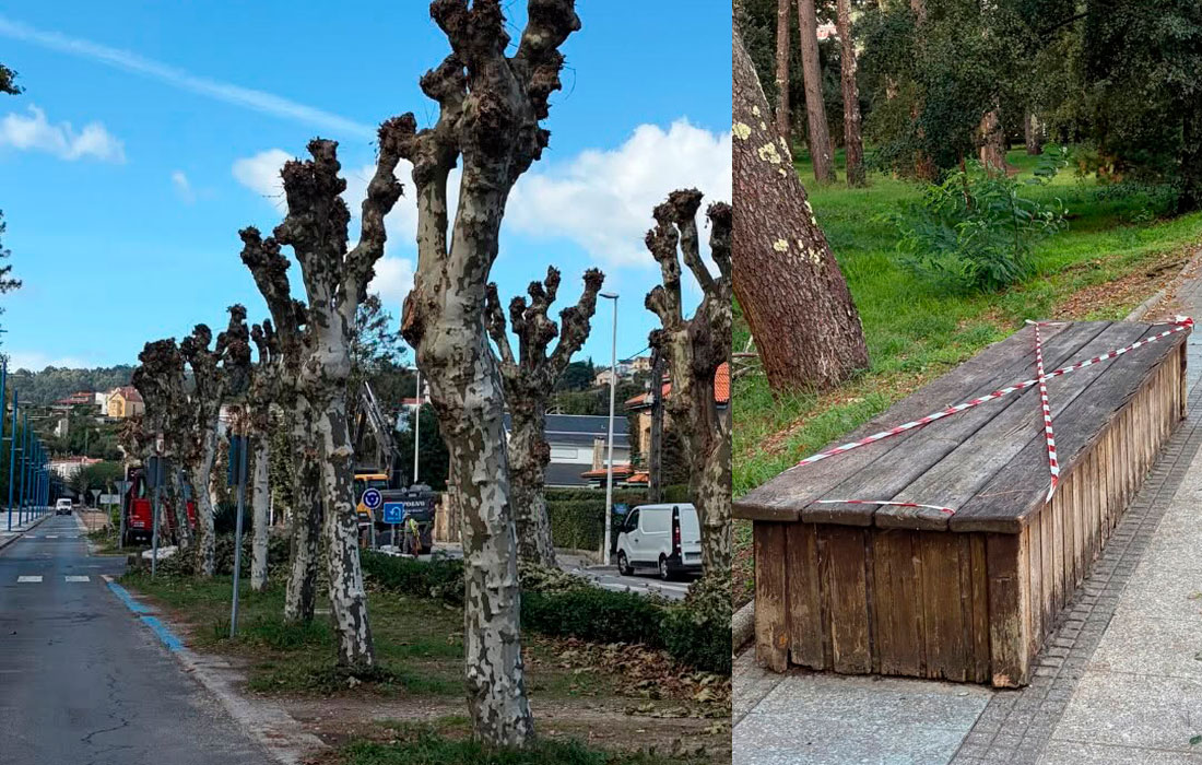 cabanas-tarefas-mantemento-e-poda-2026