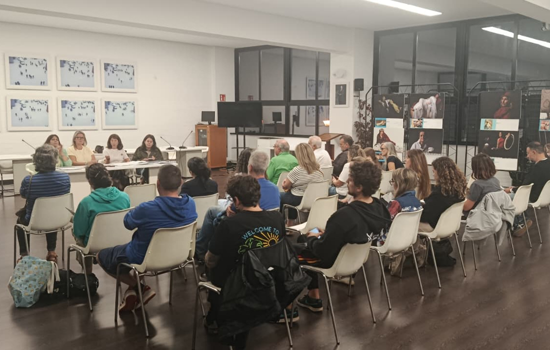 fene-presentacion-axudas-deputacion
